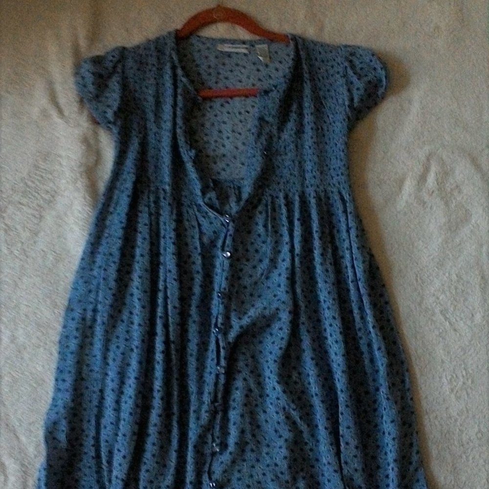 Christie Brooks Blue Flower buttoned down Dress